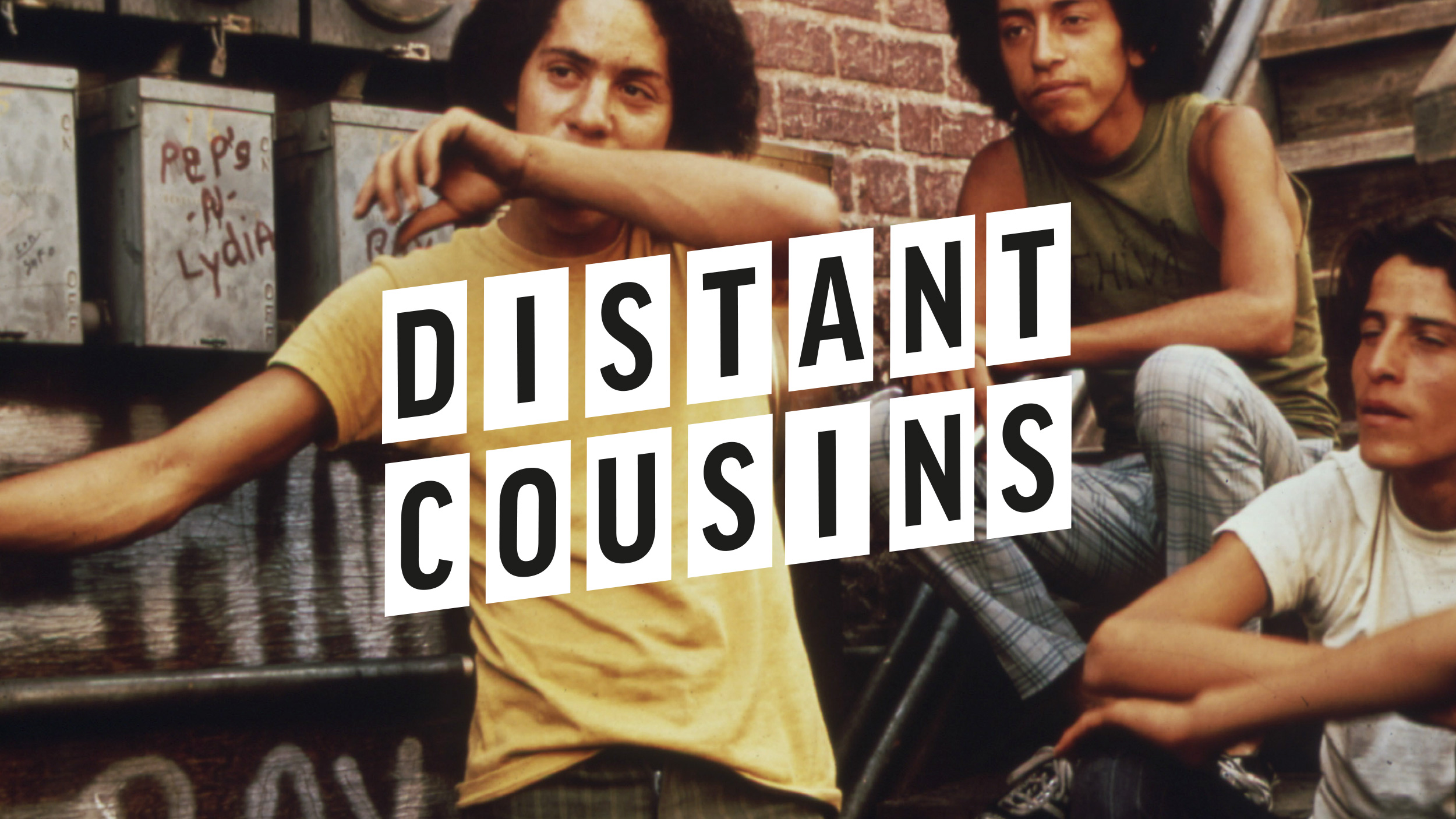 Distant Cousins Branding and Art Direction